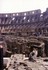 Europe 1993 Apr 17 - Colosseum, Rome with cat