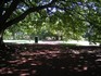 20070109 - Ballarat Botanical Gardens path