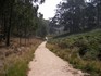 20070109 - Mt Buninyong crator walk - beyond the crater walk...