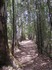 20070112 - Tree lined path at Sanotarium lake