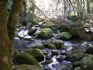 20071018 - A river on The Beeches walk