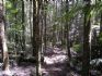 20071018 - The Beeches walk path