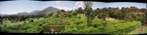 Healesville Hedge Maze Panoramic Dec 2005