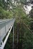 Otway Fly - Observation tower - 28th Jan 2006