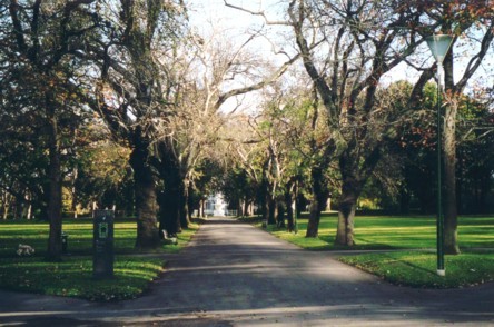 Carlton Gardens - June 2002: Carlton Gardens - June 2002 - All the leaves have gone!